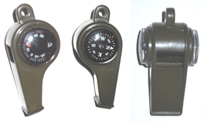 Lifesaving compass