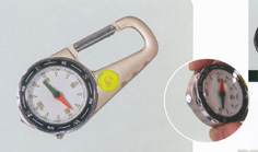New Compass
