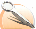Forceps Magnifier