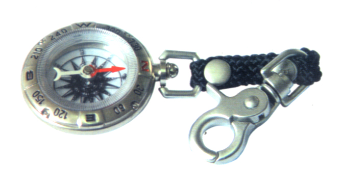 compass
