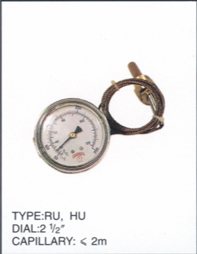 Thermometer