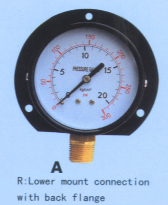 pressure gauge